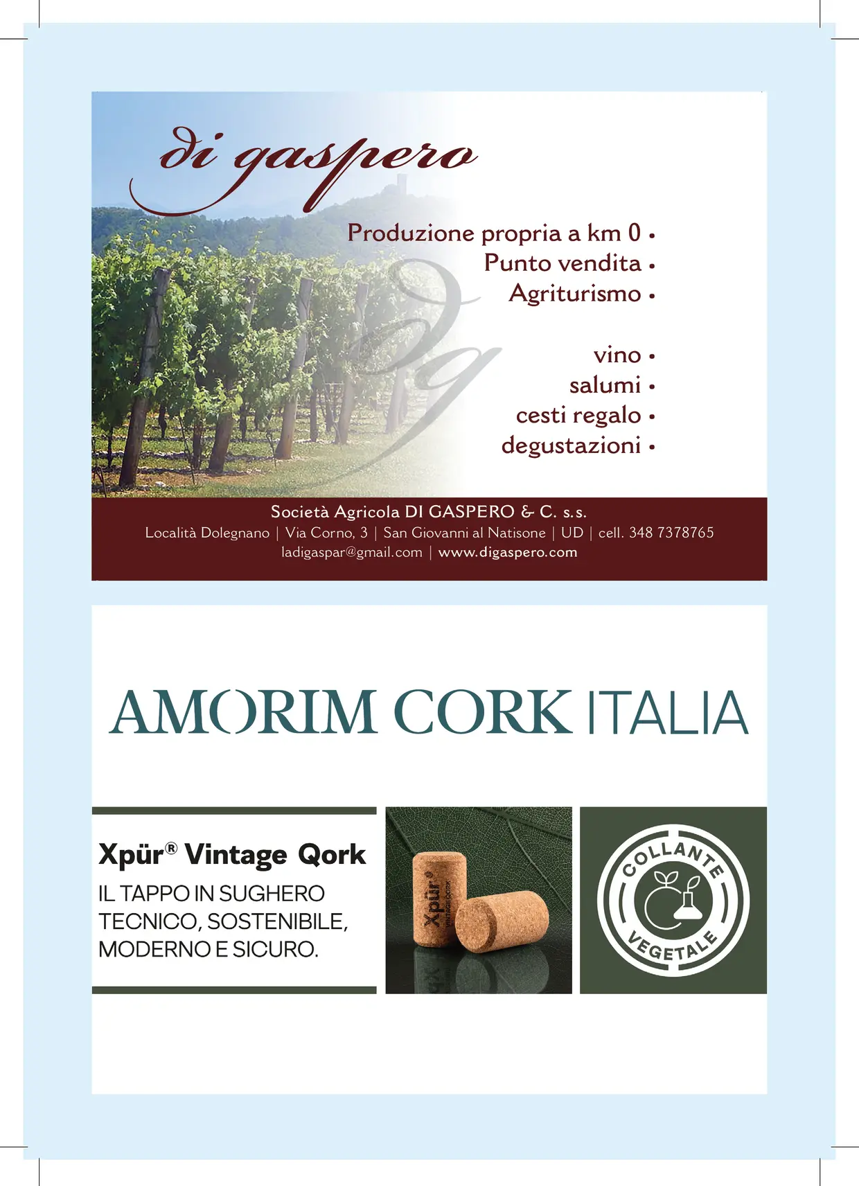 Programma Fiera dei vini